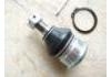 球头 Ball Joint:40160-4F105