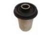 Suspension Bushing:48632-60020